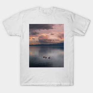 Pink Swans T-Shirt